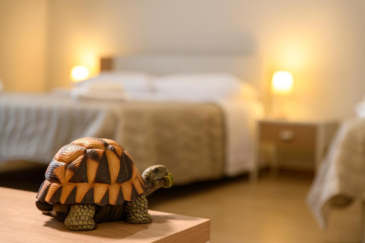 Bee Happy - Bed And Breakfast Дзаферана Етнеа Екстериор снимка